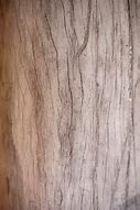 Image result for Broken Wood Texture