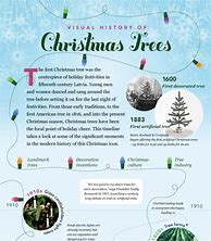 Image result for Christmas Tree Facts for Kids