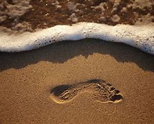 Image result for Beach Art Prints