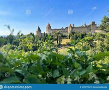 Image result for Vineyard Vines The Citadel