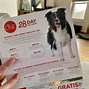 Image result for Purina Beneful Coupons Printable