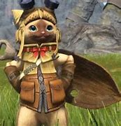 Image result for FF14 OMG Minion