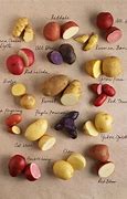 Image result for Potato around the World
