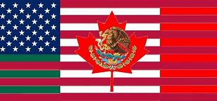Image result for United States Union Flag