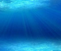 Image result for PowerPoint Ocean Background Underwater