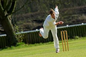 Image result for Cricket Bowling Cutters