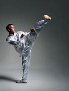 Image result for Crane Style Kung Fu