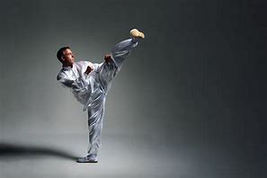 Image result for Tiger Crane Martial Arts