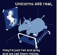 Image result for Fat Unicorn Meme