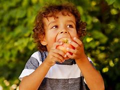 Image result for Kid Eating Apple Meme