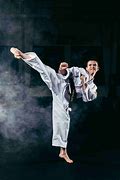 Image result for Martial Arts Karate Kid