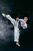 Image result for Picture of Someone Doing Karate