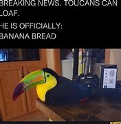 Image result for Toucan Bird Banana Bread Meme