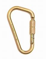 Image result for Large Steel Carabiner