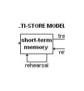 Image result for Memory Wikipedia