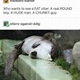 Image result for creepy otters memes