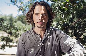 Image result for Chris Cornell Wild