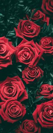 Image result for Red Aesthetic Phone Wallpaper