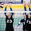 Image result for Professional Volleyball Photography
