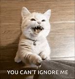 Image result for Don't Ignore Your Pets