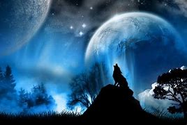 Image result for Outer Space Wolf