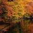 Image result for Autumn Leaves Landscape Wallpaper 4K