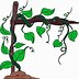Image result for Vines Growing around Drawing