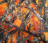 Image result for Realtree Background