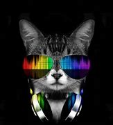 Image result for Cool Cat with Headphones