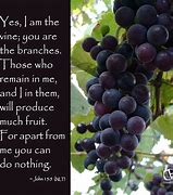Image result for Fruit of the Vine Quotes
