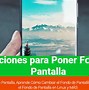 Image result for Poner Fondo De Pantalla
