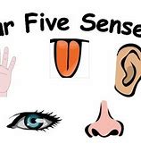 Image result for Five Senses without Grade 1 Clip Art