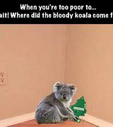 Image result for Koala Eating Meme