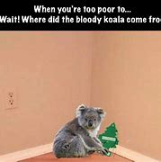 Image result for Eating Koala Meme