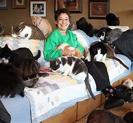 Image result for Cutest Crazy Cat Lady