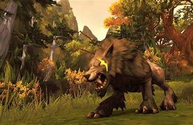 Image result for WoW Pets for Hunters