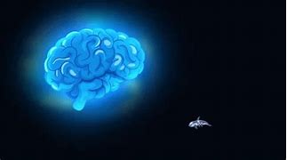 Image result for Brain Structure GIF
