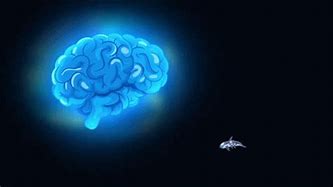 Image result for Meme GIF of Brain Galixy