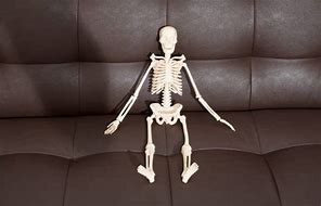 Image result for Skeleton On Couch