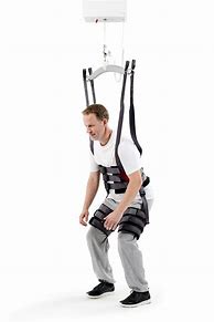 Image result for Walking Sling Clip