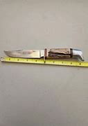 Image result for Rostfrei 3613s Stag Pocket Knife