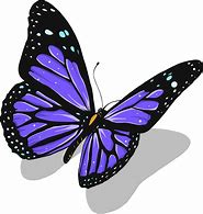 Image result for Beautiful Butterfly Art