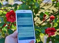 Image result for Where Is Notification Center On iPhone