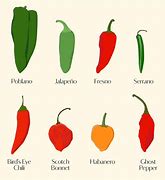 Image result for What Does Spicy Look Like