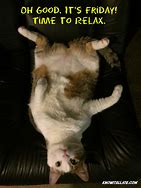 Image result for Cat Relaxing Meme