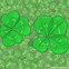 Image result for Find the Four Leaf Clover