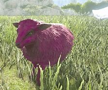 Image result for Sheep Type Ark Night