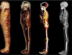 Image result for New Egyptian Discoveries