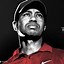 Image result for Tiger Woods Desktop Wallpaper