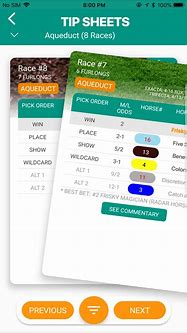 Image result for Horse Racing Tip Sheets